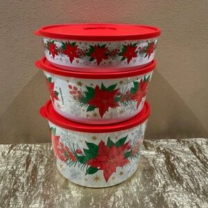 Tupperware Christmas Poinsettia Theme Ilumina StacknStore Set 3 Bowls